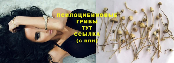 СК Бугульма