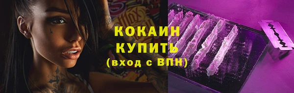 сатива Богданович