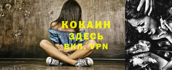 spice Бородино