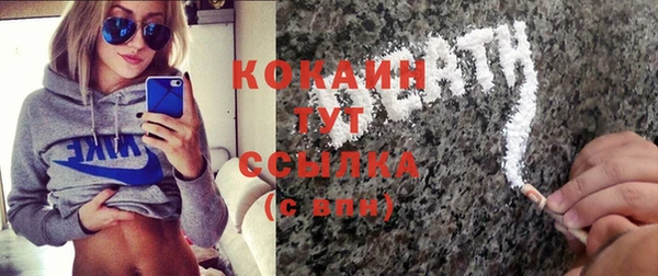 сатива Богданович