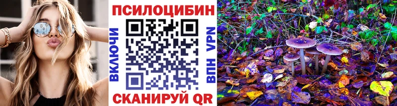 как найти наркотики  Горячий Ключ  Псилоцибиновые грибы Psilocybine cubensis 