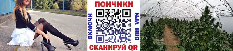 Бошки марихуана ГИДРОПОН даркнет сайт Горячий Ключ